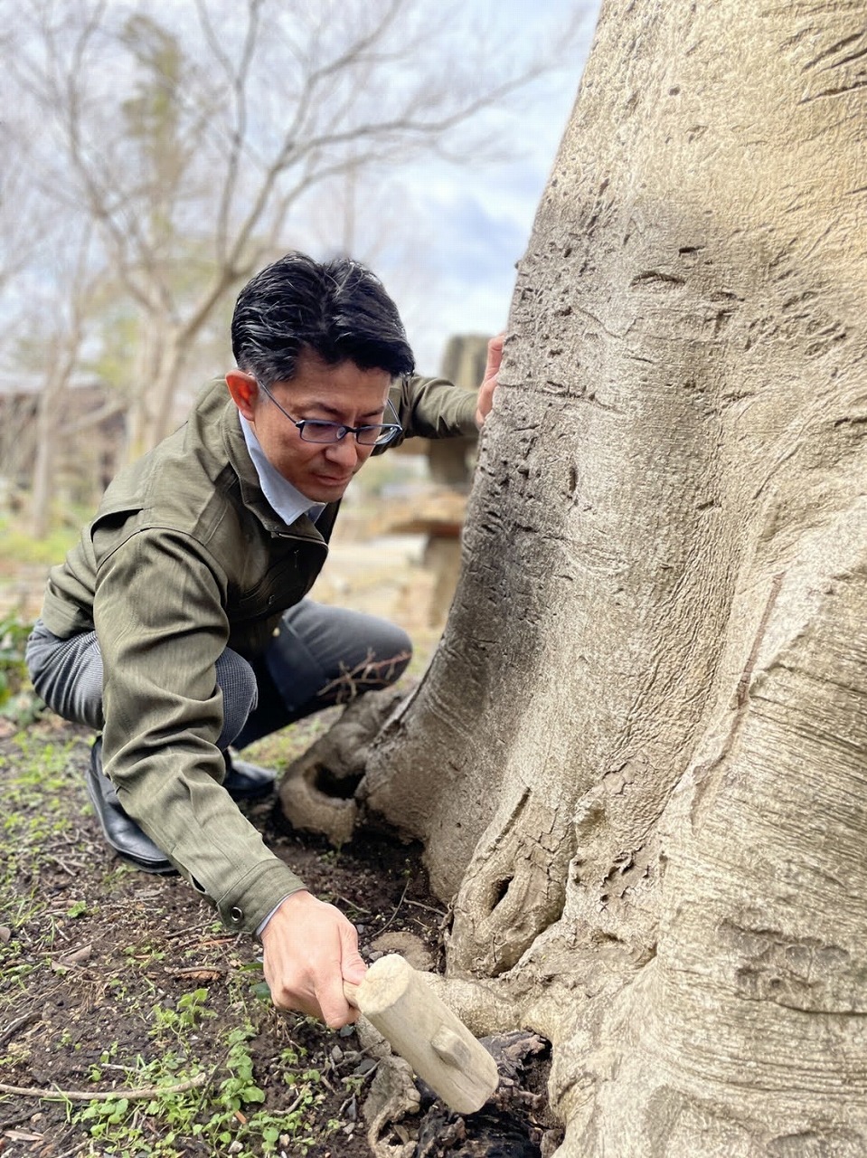松江市の外構リフォーム事例（人工芝とアプローチ）